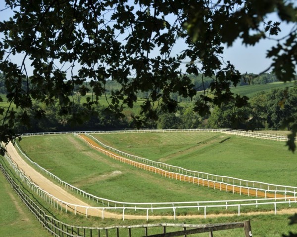 haras Saubouas