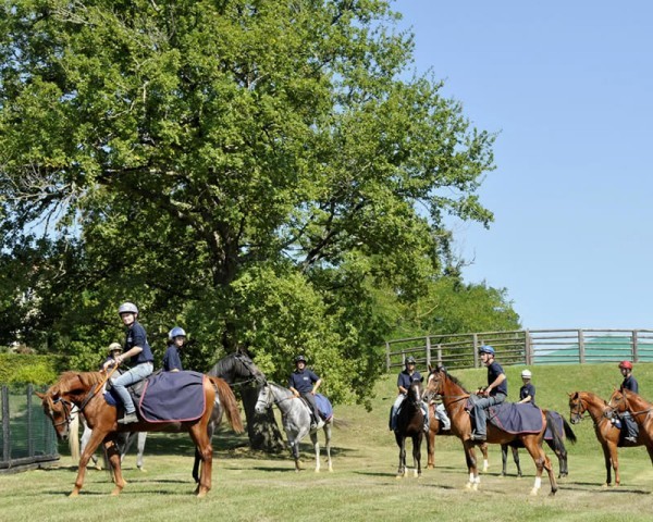 haras Saubouas