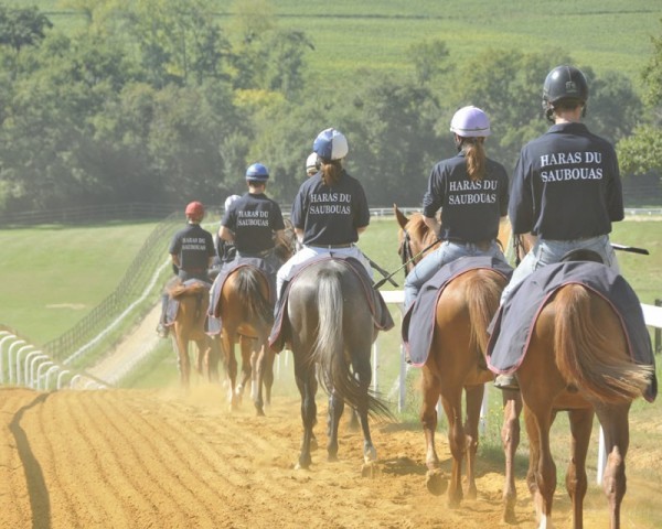 haras Saubouas