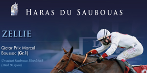 results horses Saubouas stud