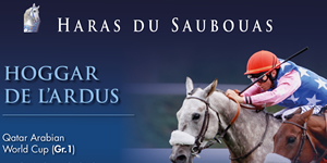results horses Saubouas stud