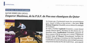 results horses Saubouas stud