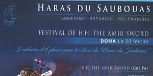 results horses Saubouas stud