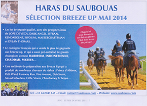 results horses Saubouas stud