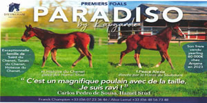 results horses Saubouas stud