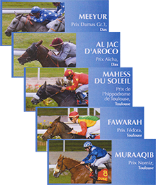 results horses Saubouas stud