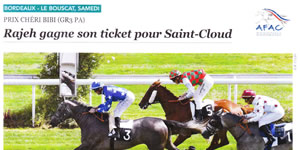 results horses Saubouas stud